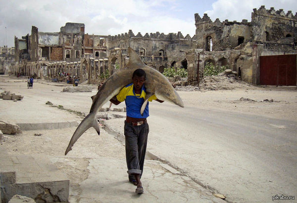          .    1-       World Press Photo 2011