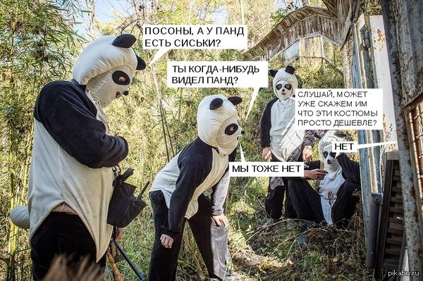 Failed bank robbery - My, Panda, Cosplay, Fail
