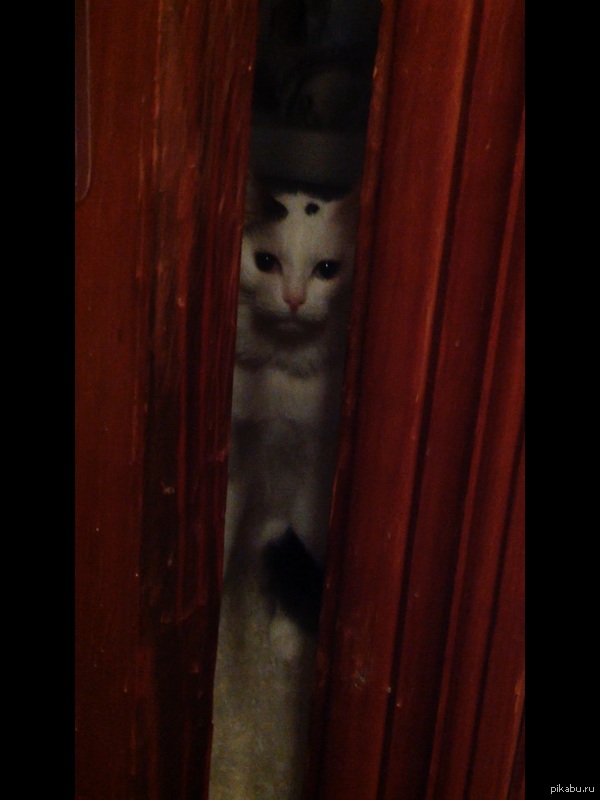 �� ������ �� ����..