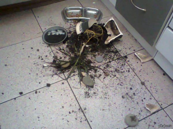 ���� ���������� �� � ����...