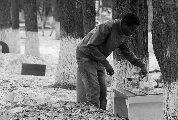 Ассимилировался