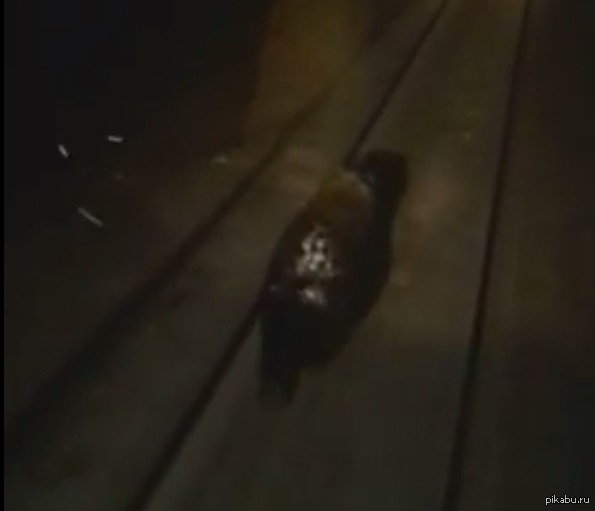 ����� � 300 000 ������ �� �������� ��������� � ���������... ��� �� �������� ������������� ������� ������������� ������ ���������?