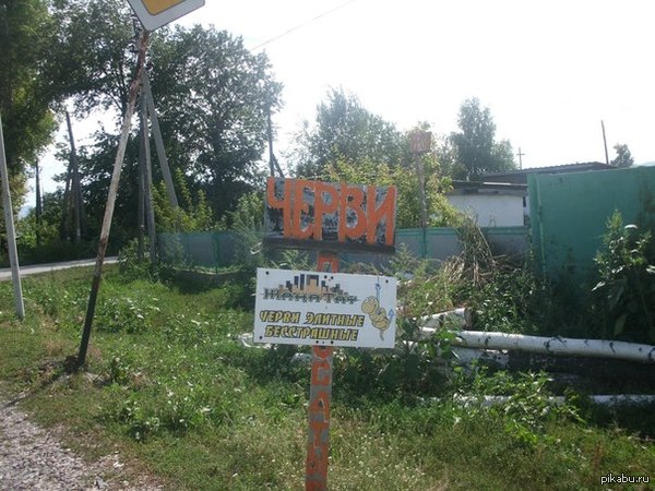 Маркетинг. Уровень: бог