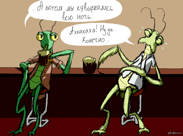 Бедные богомолы