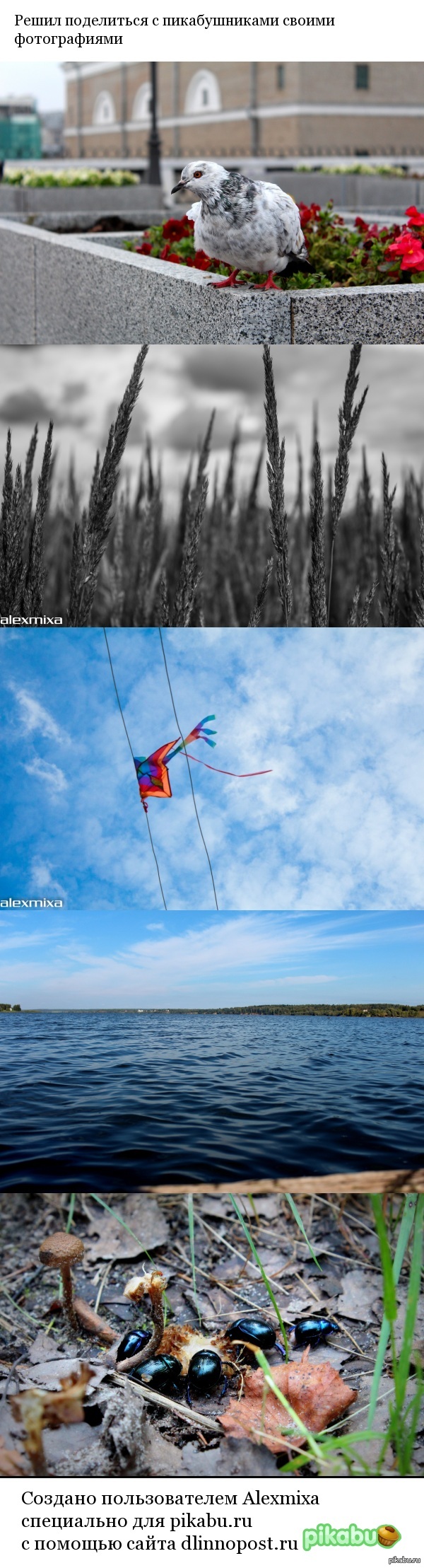 Первый пост