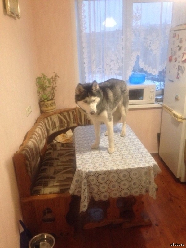 ����� �������