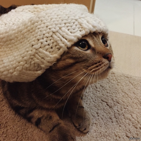 ���������������� ���