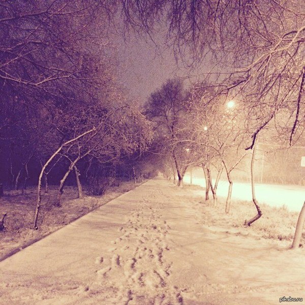 ���� � �����������.