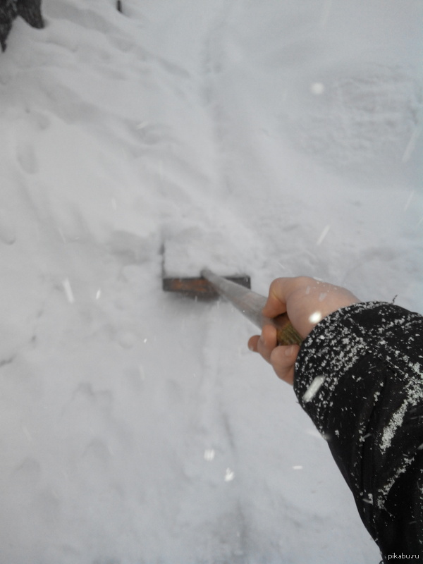 Следуй за мной | Пикабу