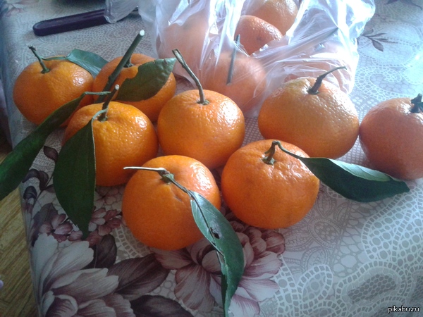 ��� ������ ������������ ���� ������� ���������� ����