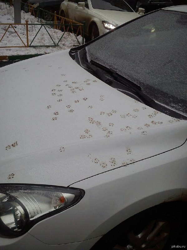 Как по мне, так красиво! :)