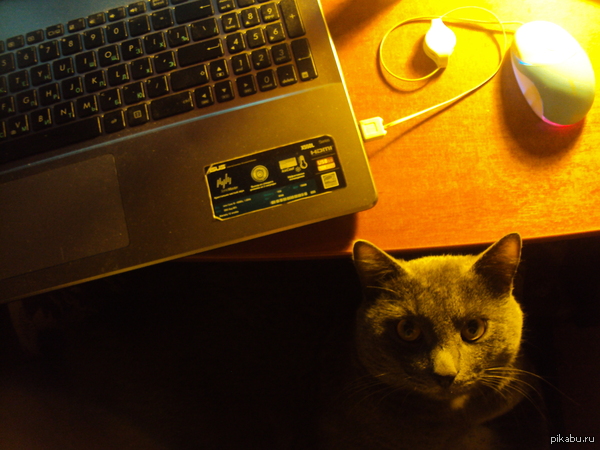 ������� ��