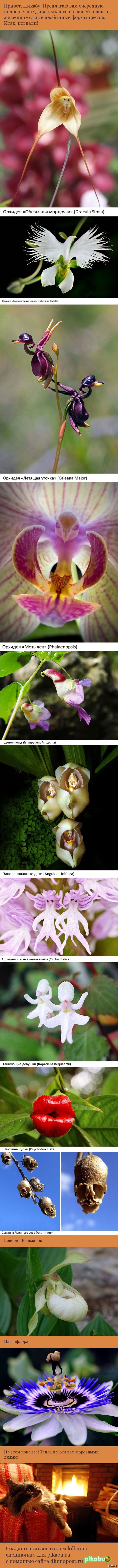 ��������� �� ����� �������