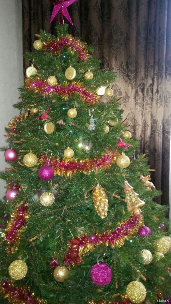 Найди кота!