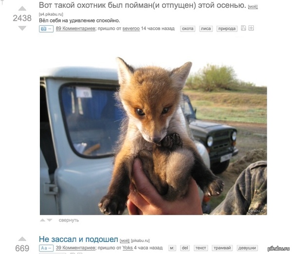 ����� ������