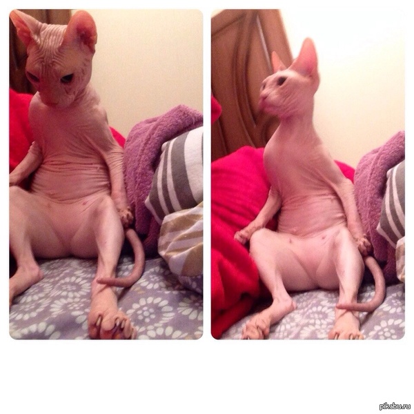 ���-�� ��� �� ���...