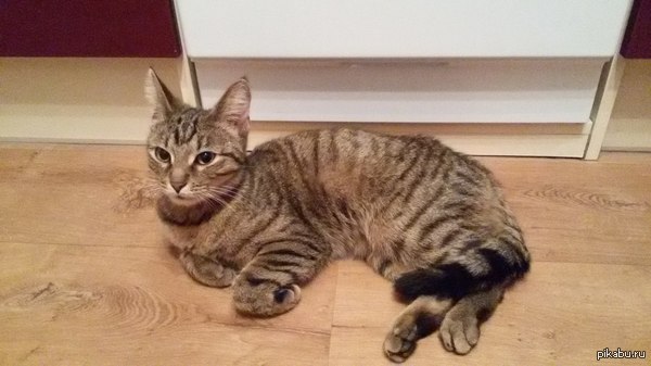 ����� ���� ���