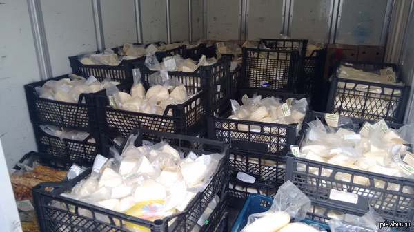 Производство сыра высокого качества