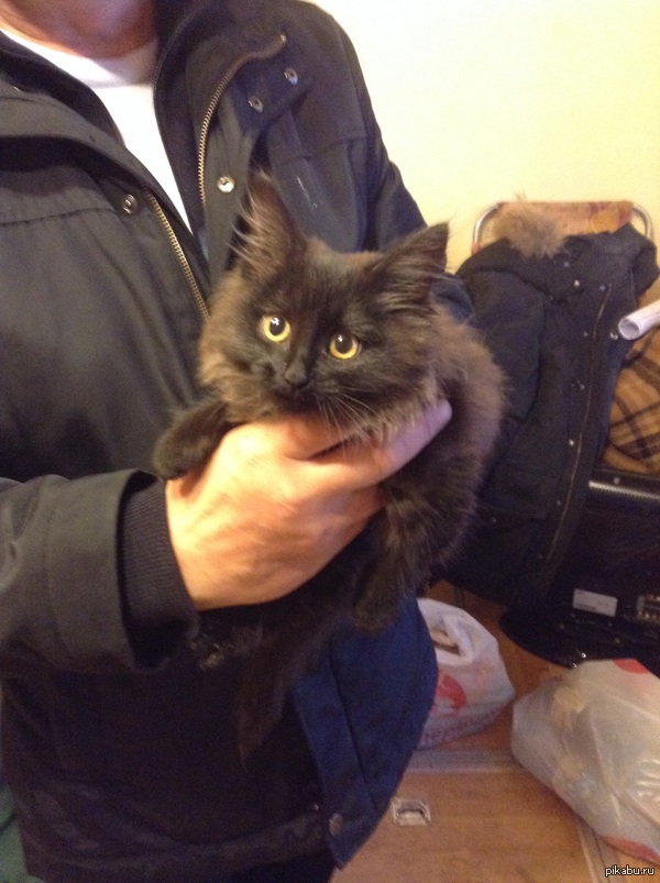 Нужна кварцевая лампа на пятницу.