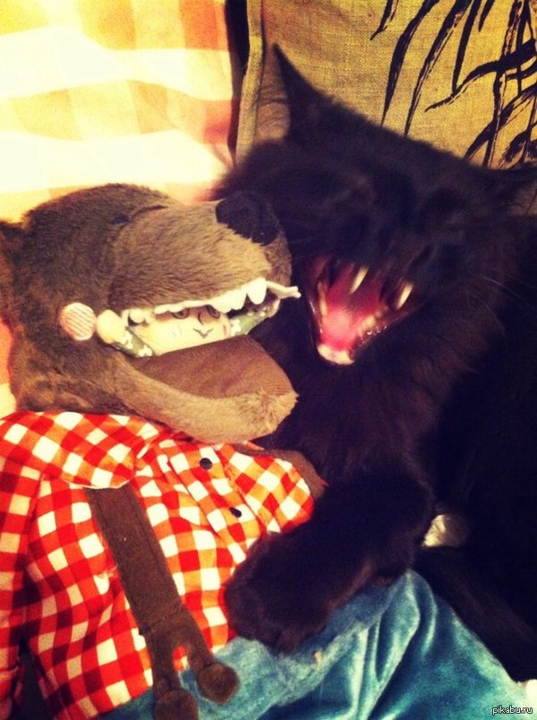 � ����� ���� �������� ����.