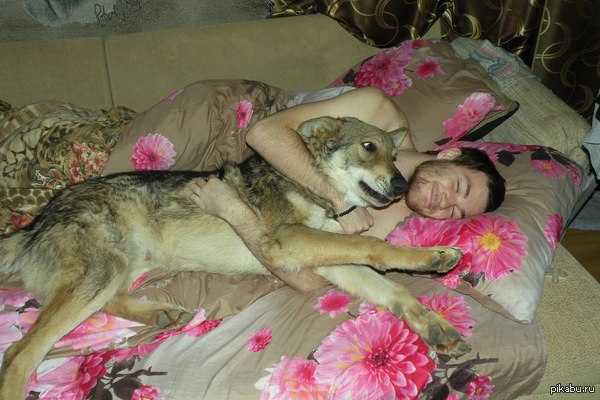 ��� ��� �������- ���� ���������� �� � ����...