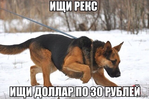     .. 