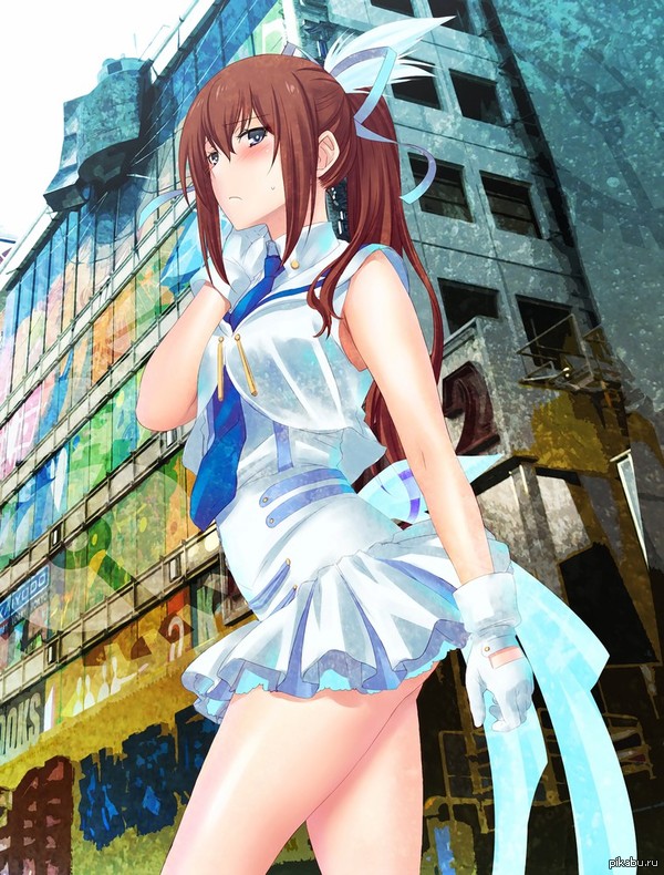 Steins Gate