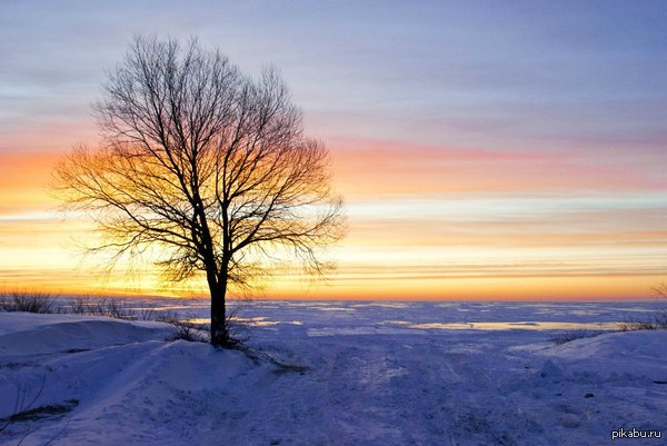 ������� �������