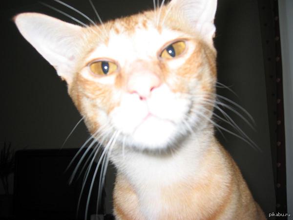 ��, ���! :)