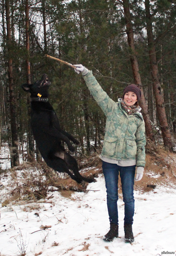 ���������� �������