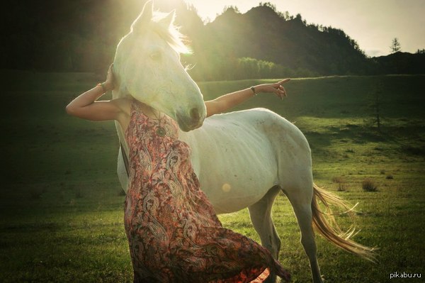 ����������...