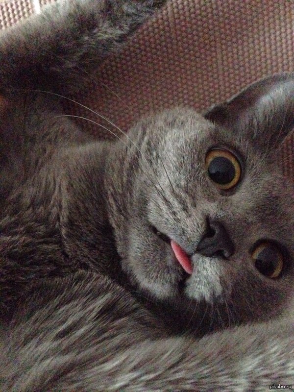 ��� ���������, ��� ������ ����������