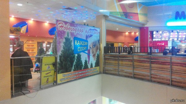 Каждому сосну )))