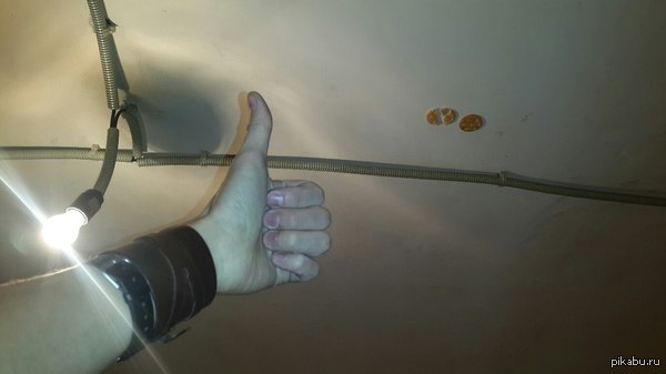 Печенье упало на потолок, я в замешательстве. Поднимать с потолка брезгливо как то, ведь не каждый день печенье на потолок падает...