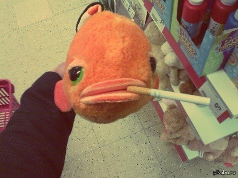 This fish was eating life from the inside - Toys, Hopelessness