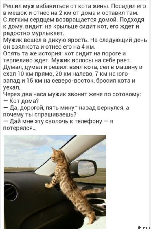 � ����� ��������