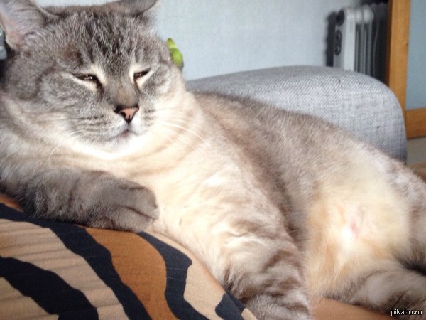 �� ����� �����