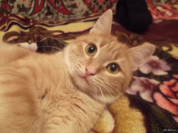 � ������ �� ������ ����� ������.