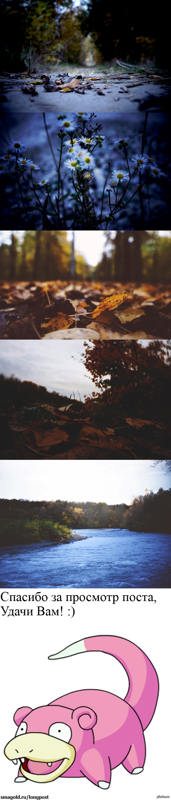 ������ ����! ��� ��� ���������� �����, � �� ��� �� ����� ����� ������ ��� ������� ������ :)