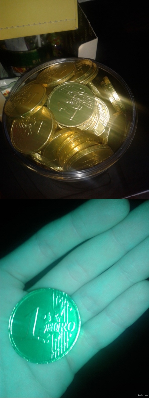 ���� ���-�� ���� ����� 5 ������