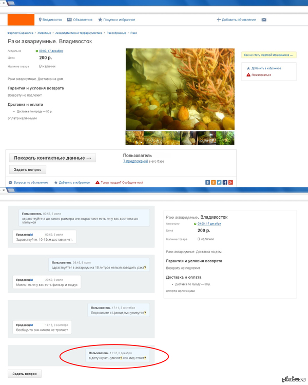 ���� � ��������� �� ���