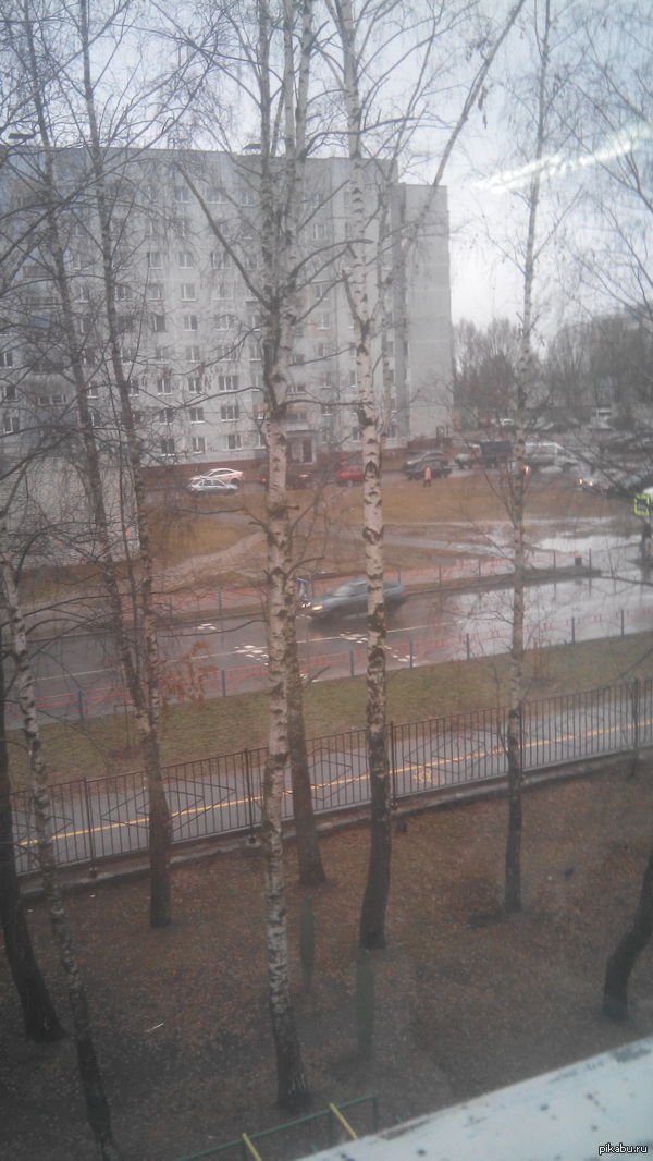 А у нас в Брянске уже весна!
