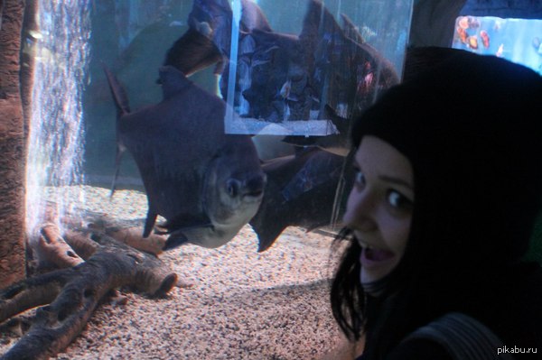 �� ��� ������ �� ���� ����!