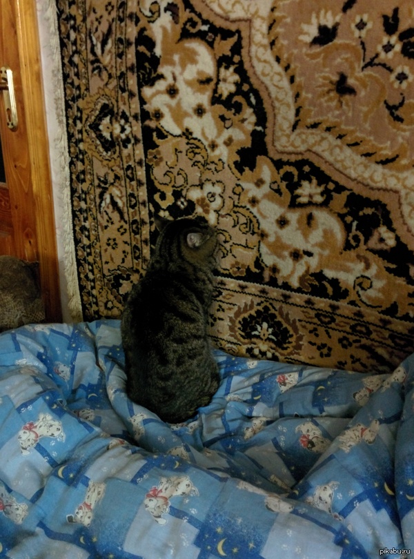 ��� ��������