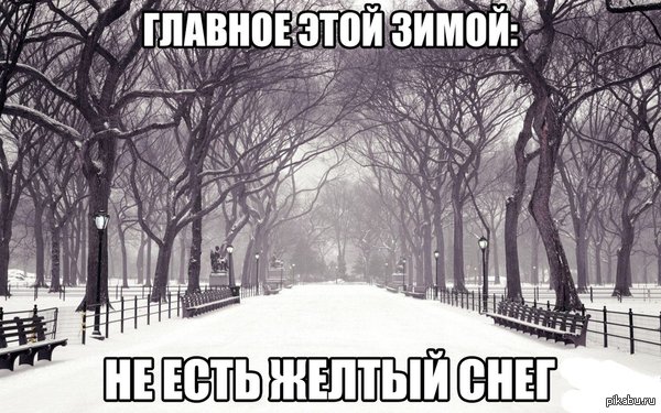 ������ ����