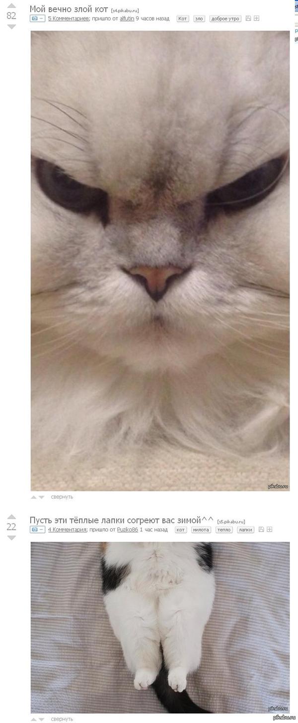 ������ �������� ����������