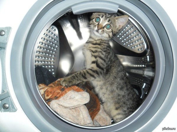 � ��� � ���� �������!