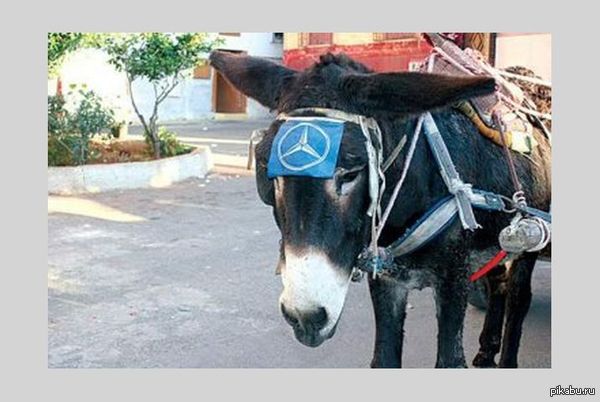 ������� ���������� ������ �� ����