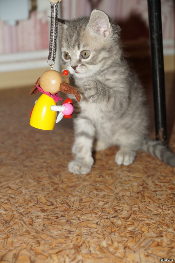 ����� ����� �������, ��� ��� ������� ����� ��������.