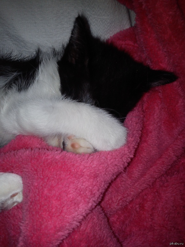 "�� ������� �����!..."